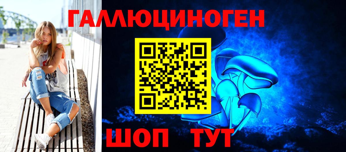 Похвистнево  Псилоцибиновые грибы Psilocybe  Псилоцибиновые грибы Psilocybe  Вход с VPN 